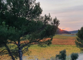 Domaine dans les Vignes